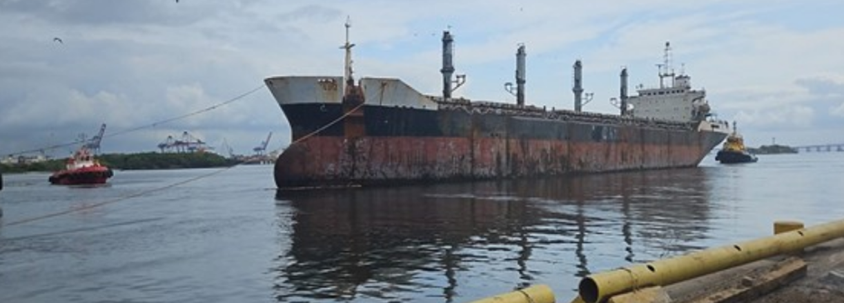 CREDN aprova adesão do Brasil à Convenção de Hong Kong para reciclagem de navios